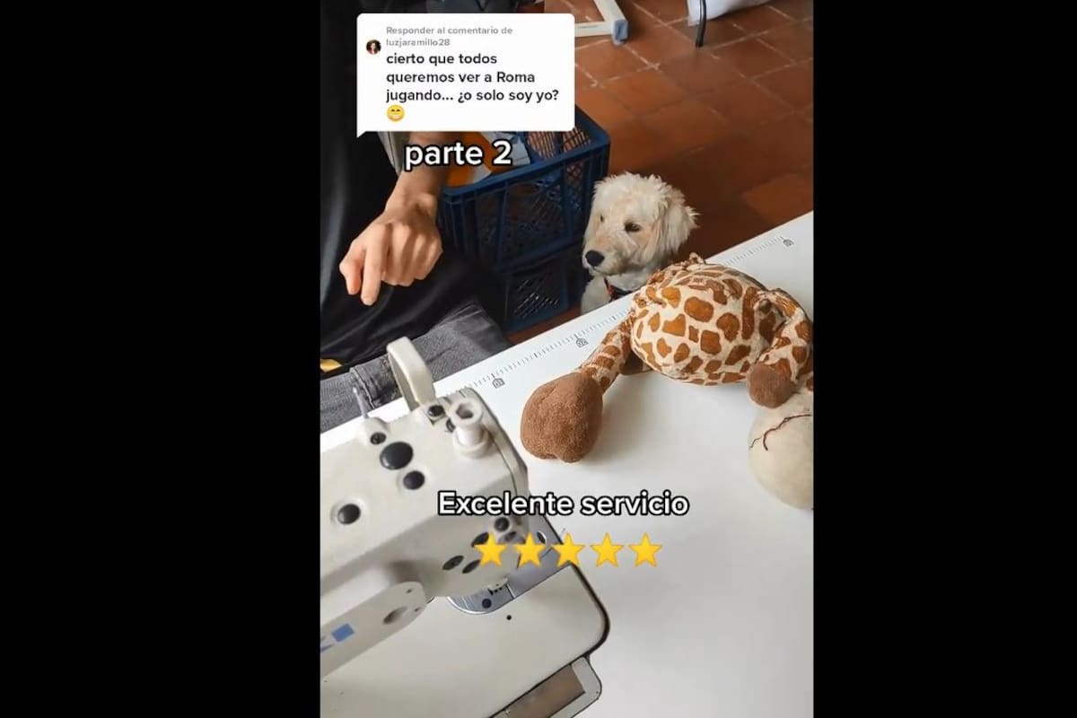 VIDEO TIKTOK: Hombre detiene su trabajo por arreglarle el juguete a su mascota