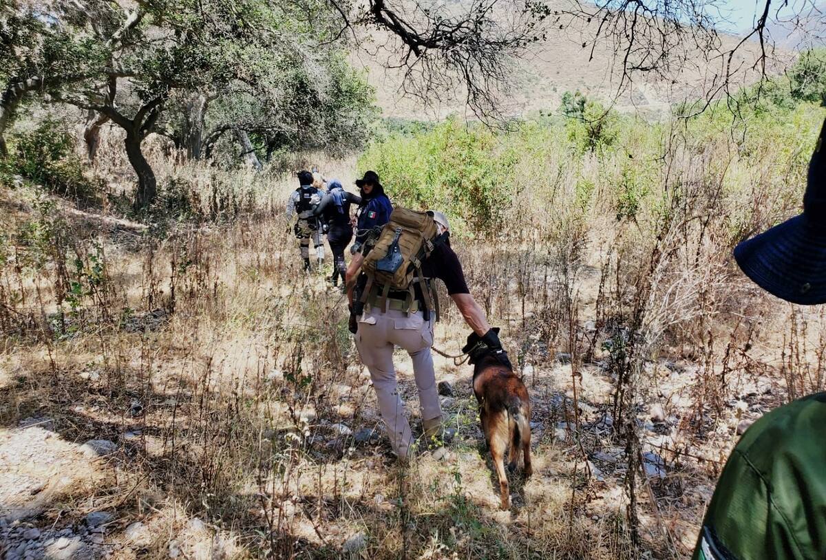 En el operativo de búsqueda participó el binomio canino “Falco”.