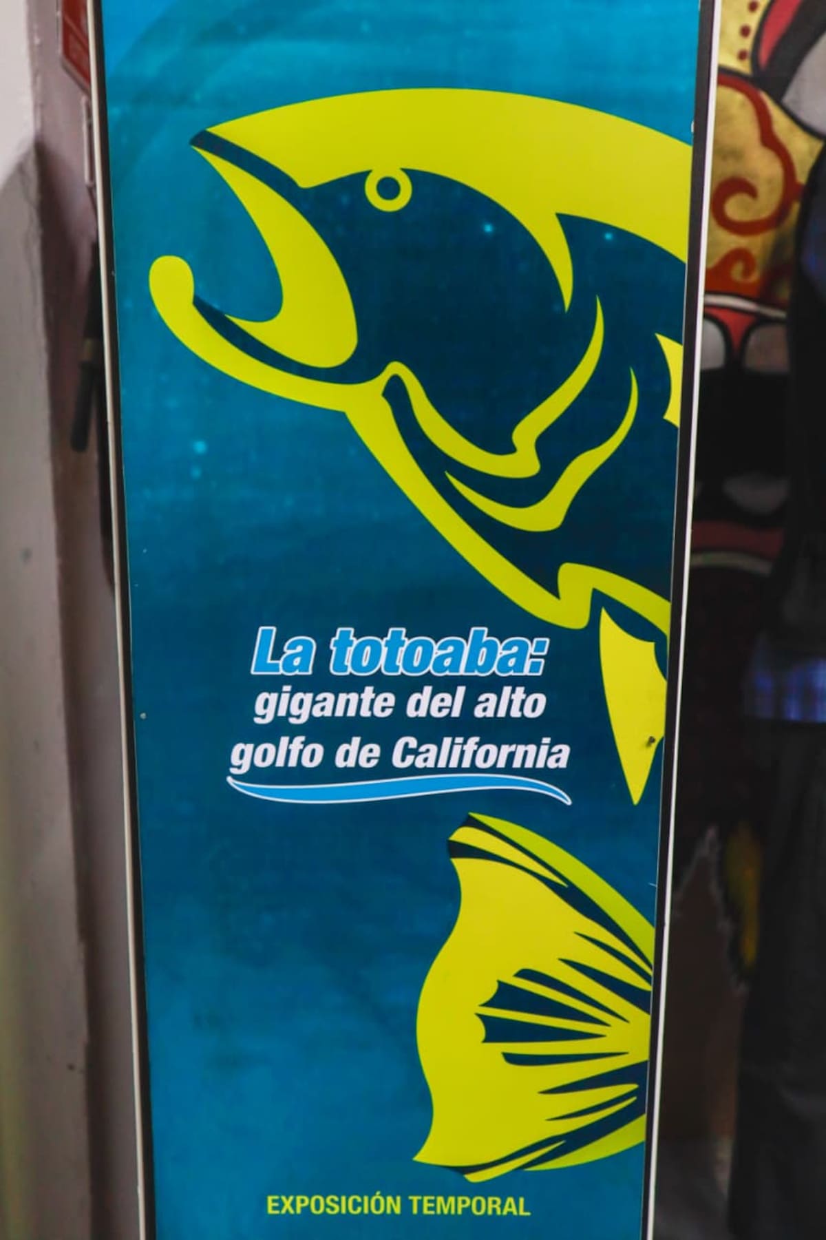 La exposición permanecerá abierta al público en el Museo de Historia Natural del Bosque y Zoológico de la Ciudad l Foto: Andres O. Farrera