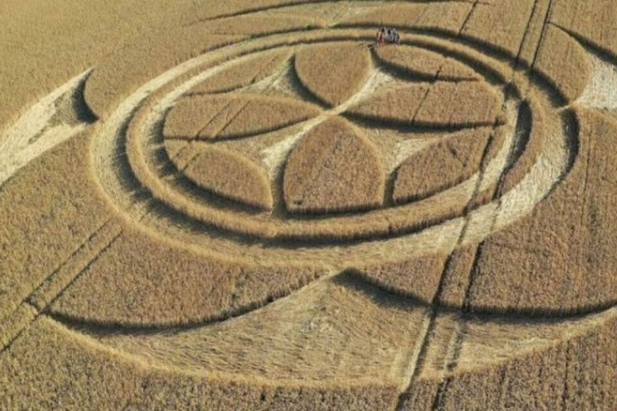 Raros símbolos aparecen en una granja de Francia