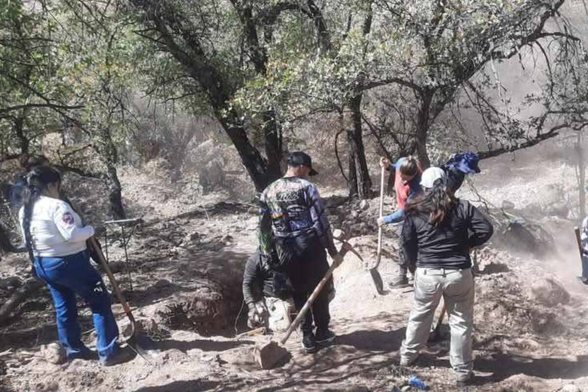 Colectivo encuentra 3 osamentas en Nogales