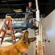 Arizona Biennial 2026: la gran exposición de arte contemporáneo llega a Tucson