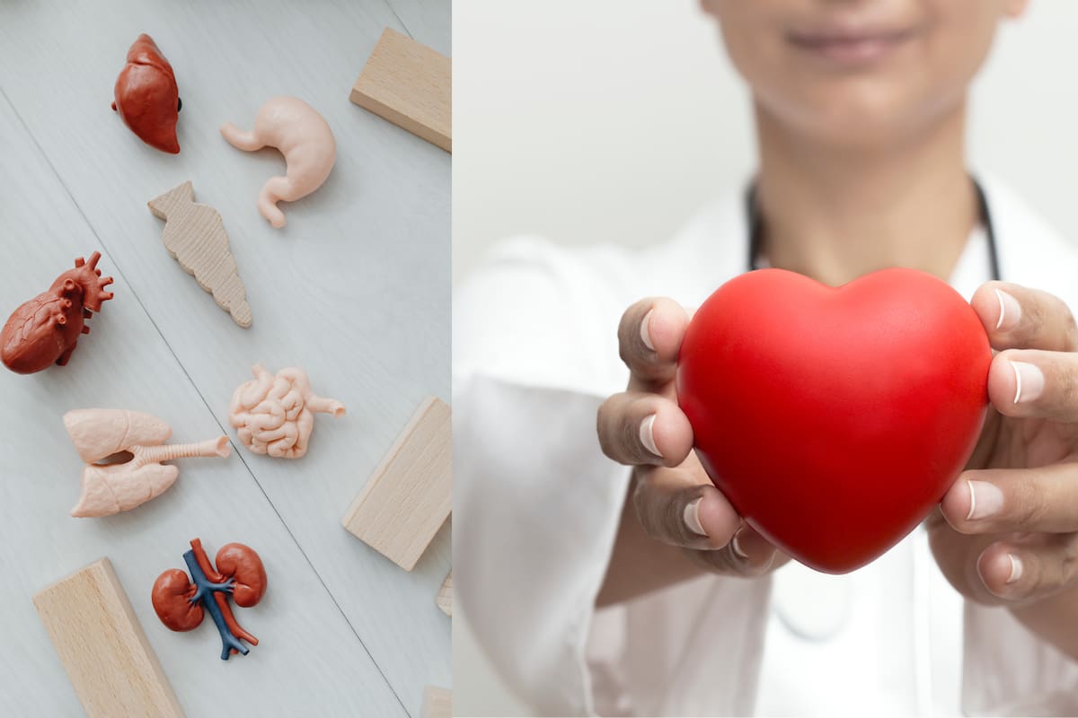 Este es el país donde todos serán donantes de órganos por ley