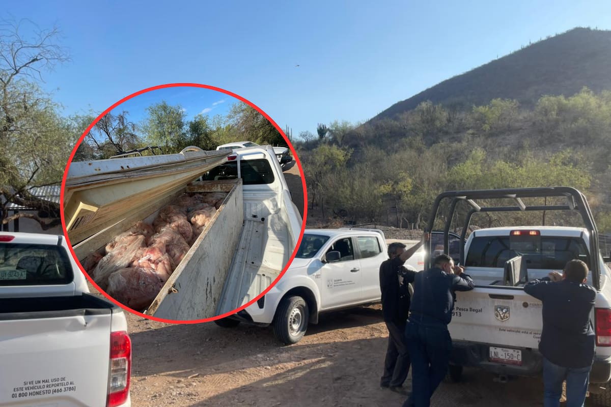 Aseguran 395 kilos de tilapia capturada de manera ilegal en la presa El Oviáchic