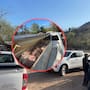 Aseguran 395 kilos de tilapia capturada de manera ilegal en la presa El Oviáchic