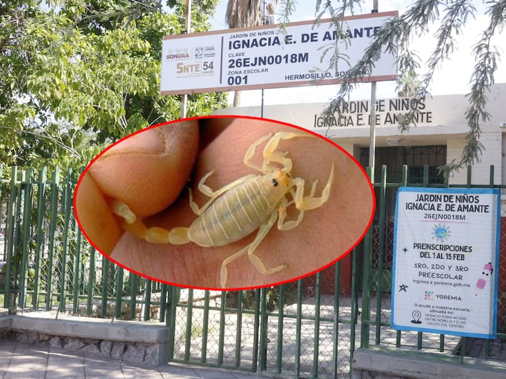 Muere niña por picadura de alacrán en Hermosillo