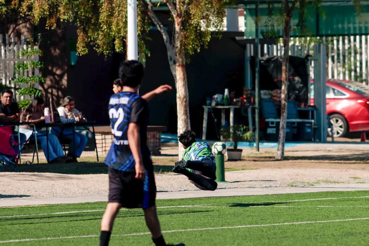 Flores da victoria a Pasadina