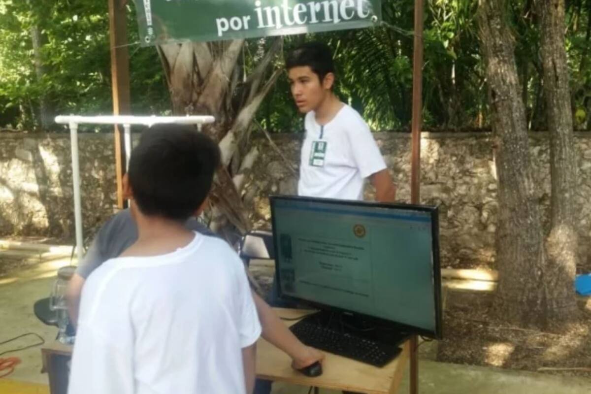 Niños yucatecos crean app para regar plantas por celular