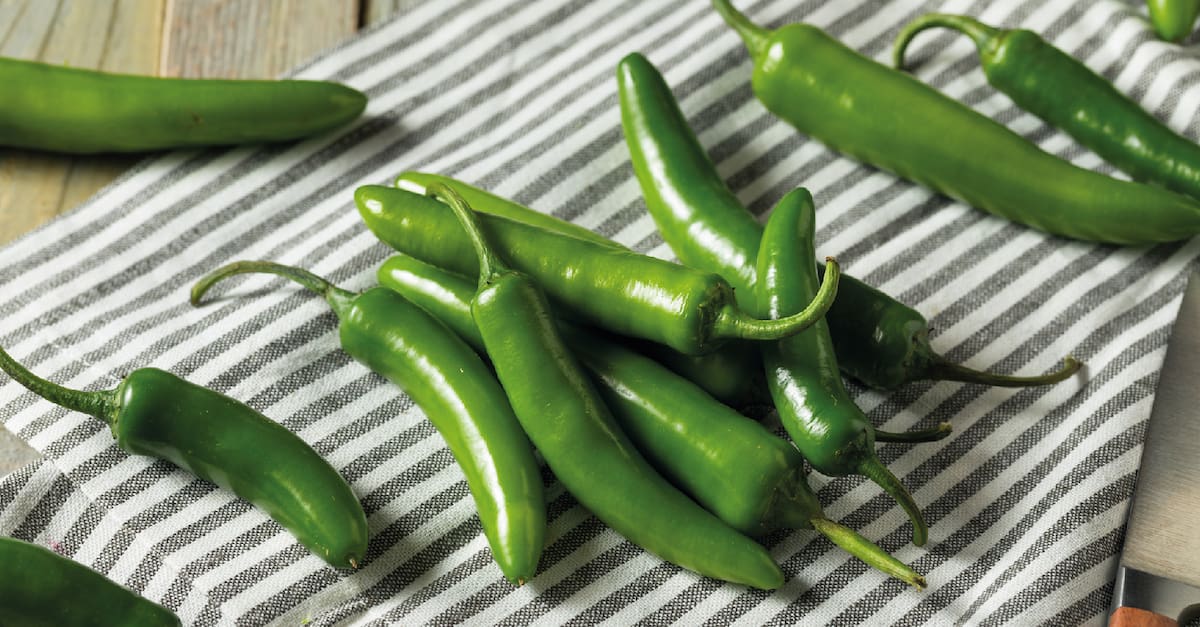 Chile serrano. Gobierno de México.