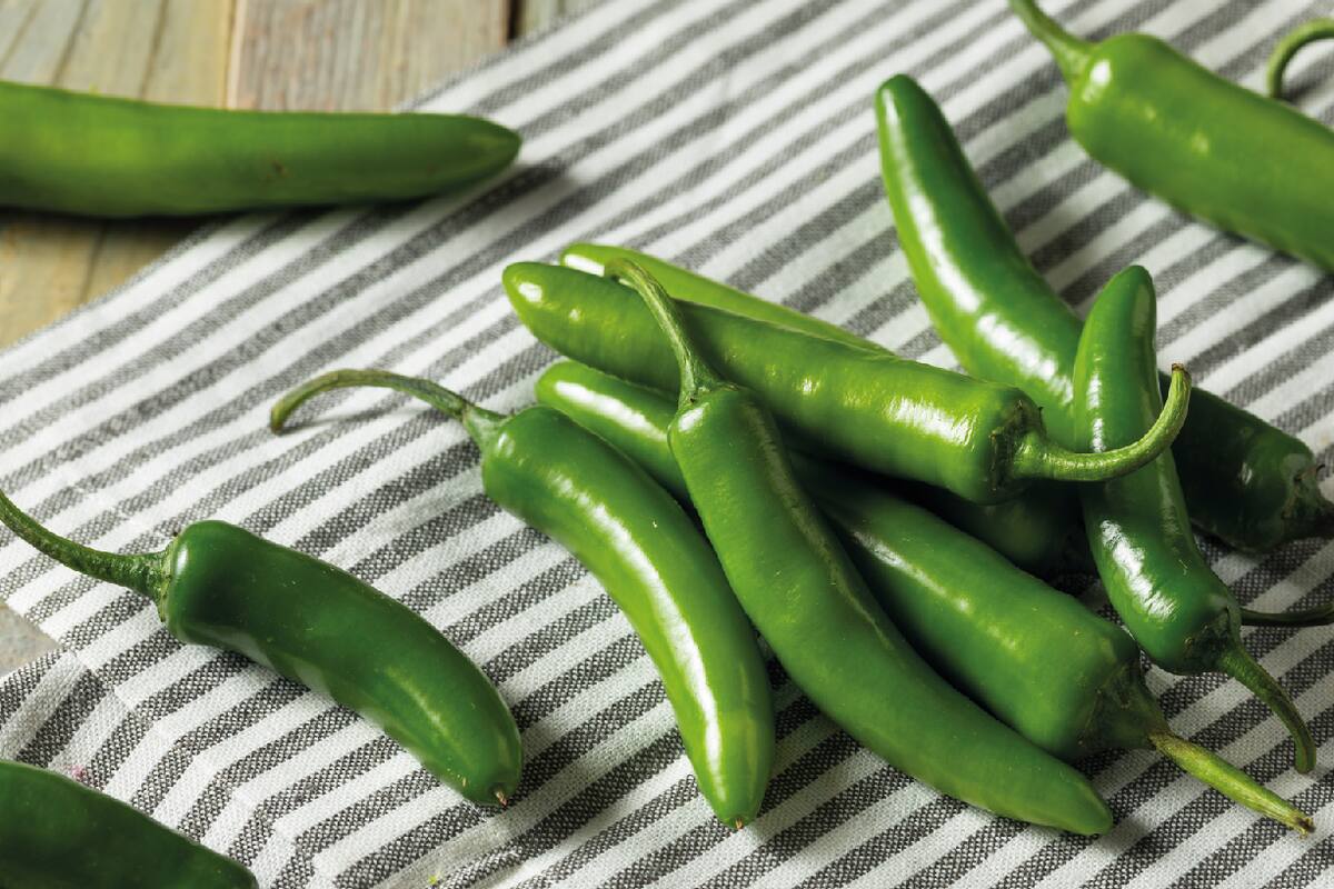 Inflación se acelera a 4.63% en la primera quincena de abril y afecta al chile serrano