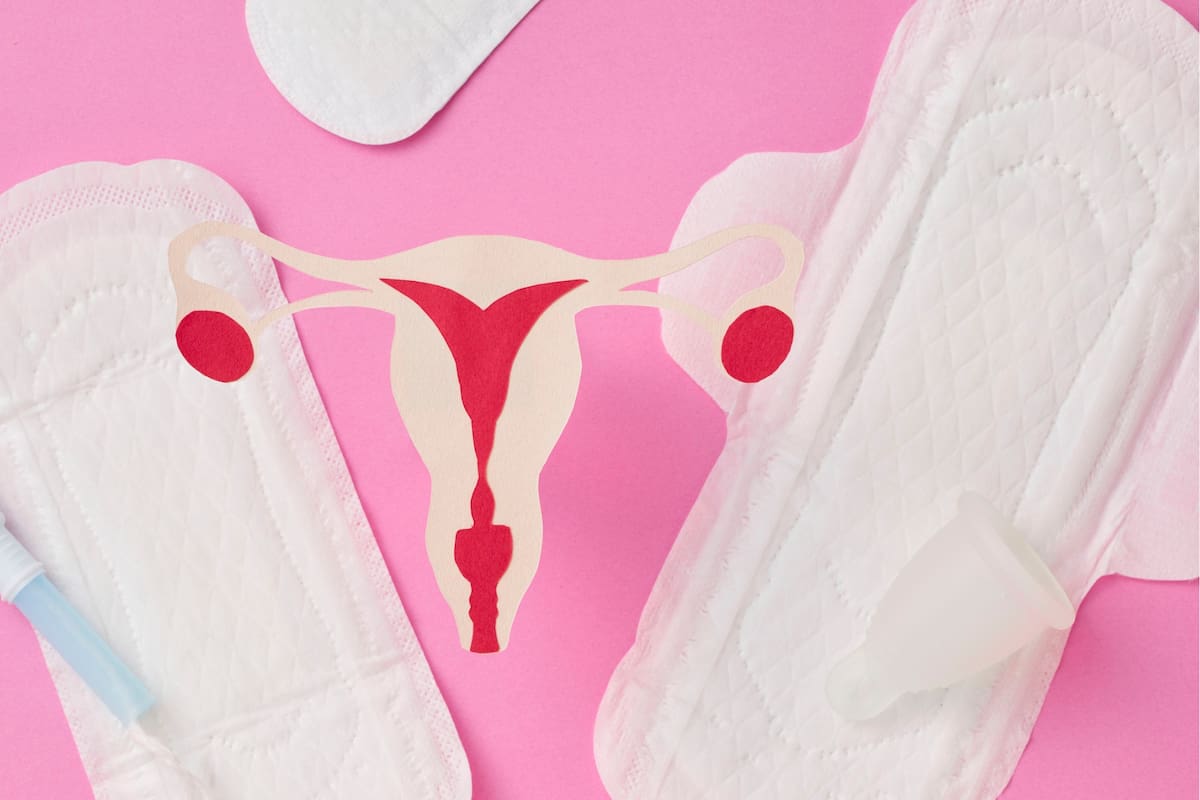 Estrógeno alto: señales, causas y cuidados para mantener el equilibrio hormonal