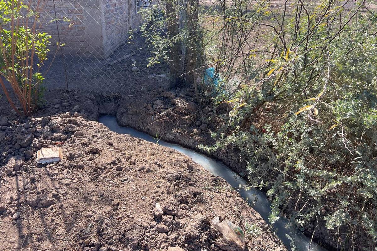 Residentes de “El Colonial” llevan más de 15 años sin drenaje público