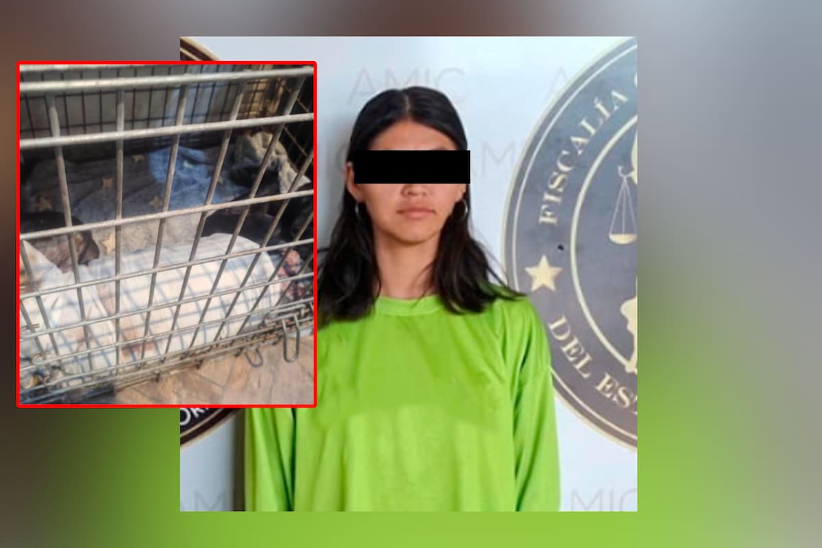 Imputan a mujer que arrojó agua hirviendo a la perrita ‘Deysi’ por presunto maltrato animal