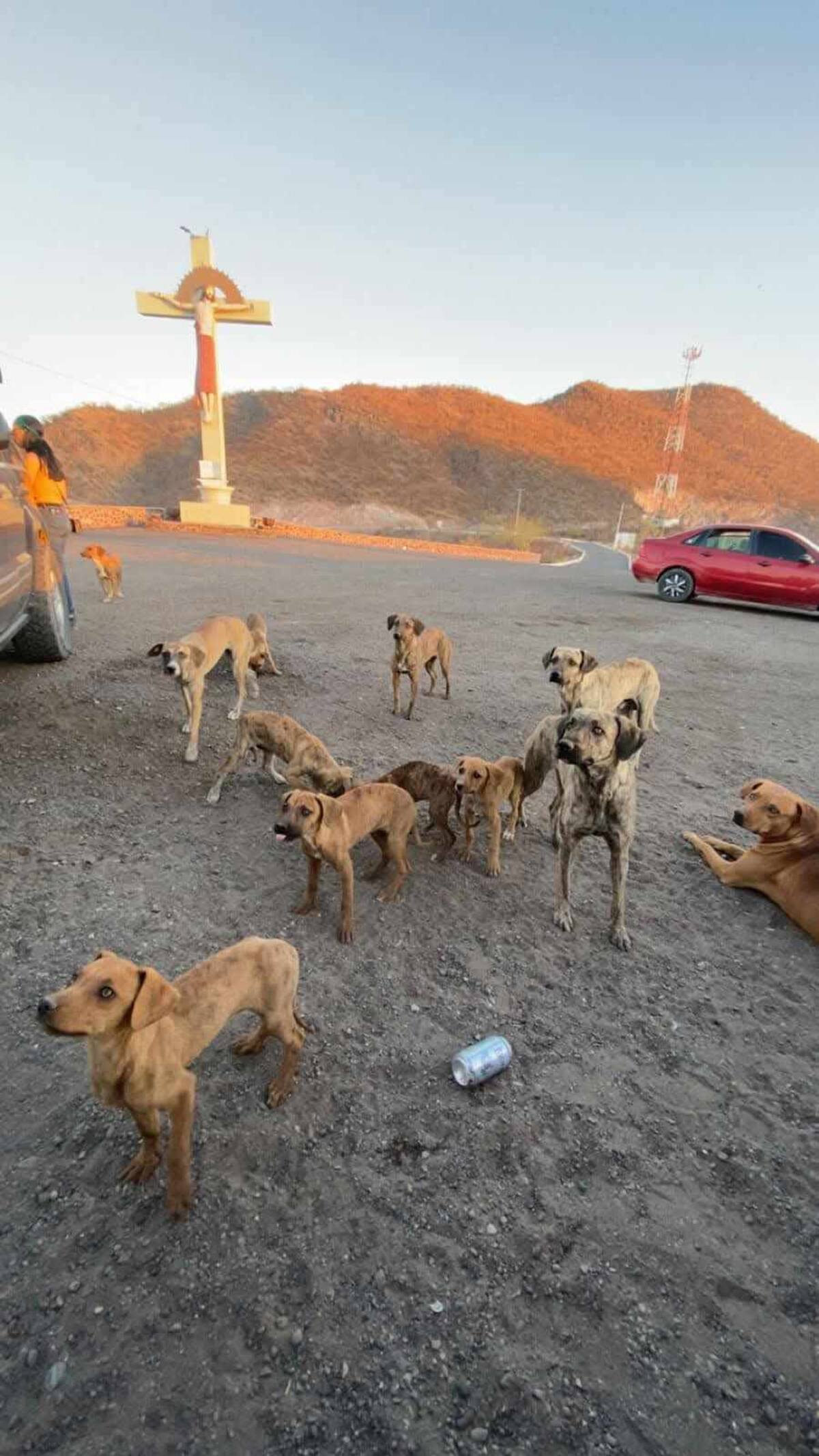 Imagen por Mayra Echeverría.