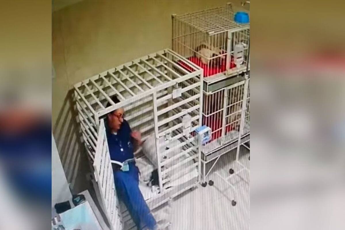 Video: Veterinaria le lee un cuento a perro en el interior de su jaula y se hace viral