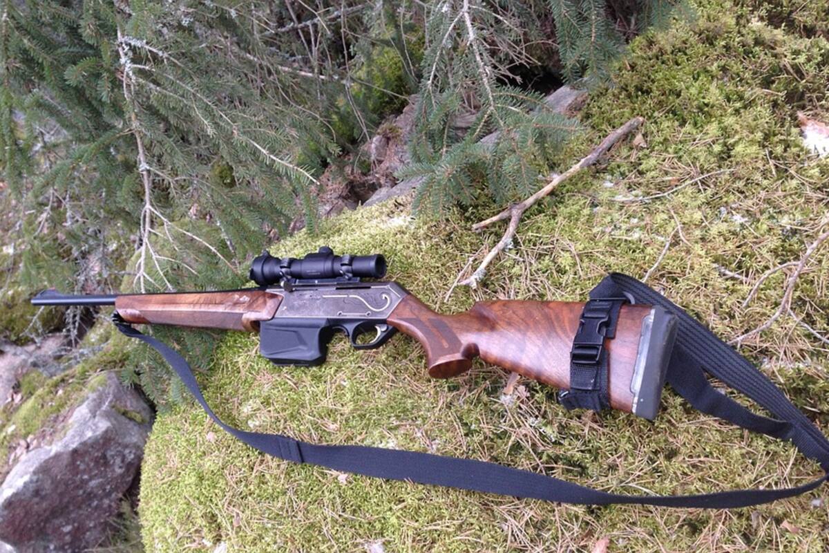 EU: Condenan a hombre que le disparó accidentalmente a cazador