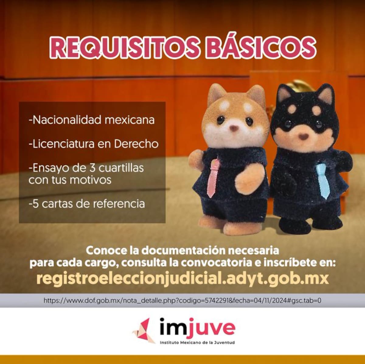 Requisitos básicos para postularse como juez o magistrado en convocatoria del Imjuve. / Captura de pantalla. @imjuvemx en X