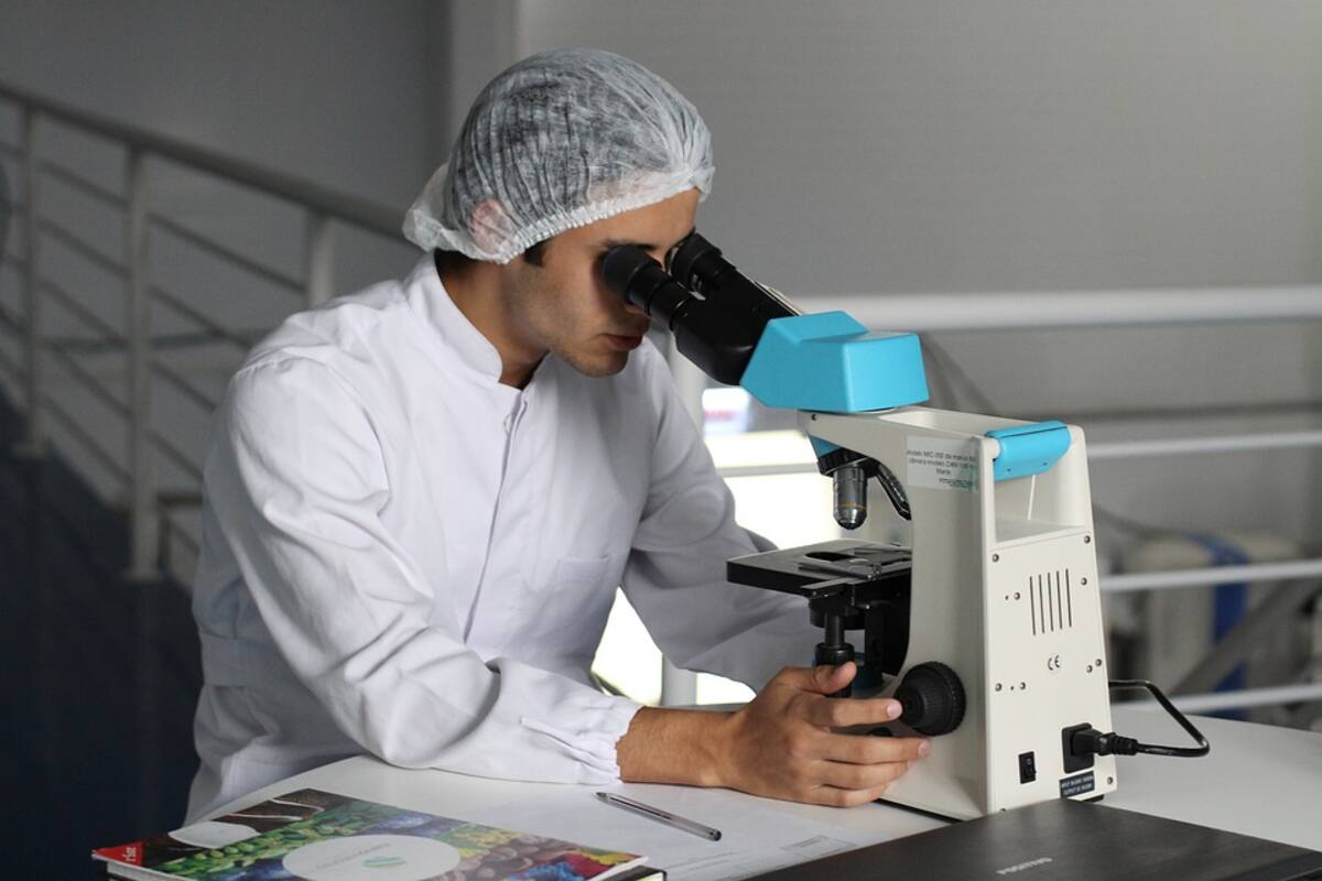 Hallan la forma de elegir el sexo de la descendencia
