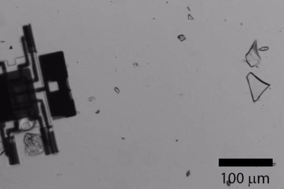 Microrobots solares con 'cerebros' se trasladan de forma autónoma