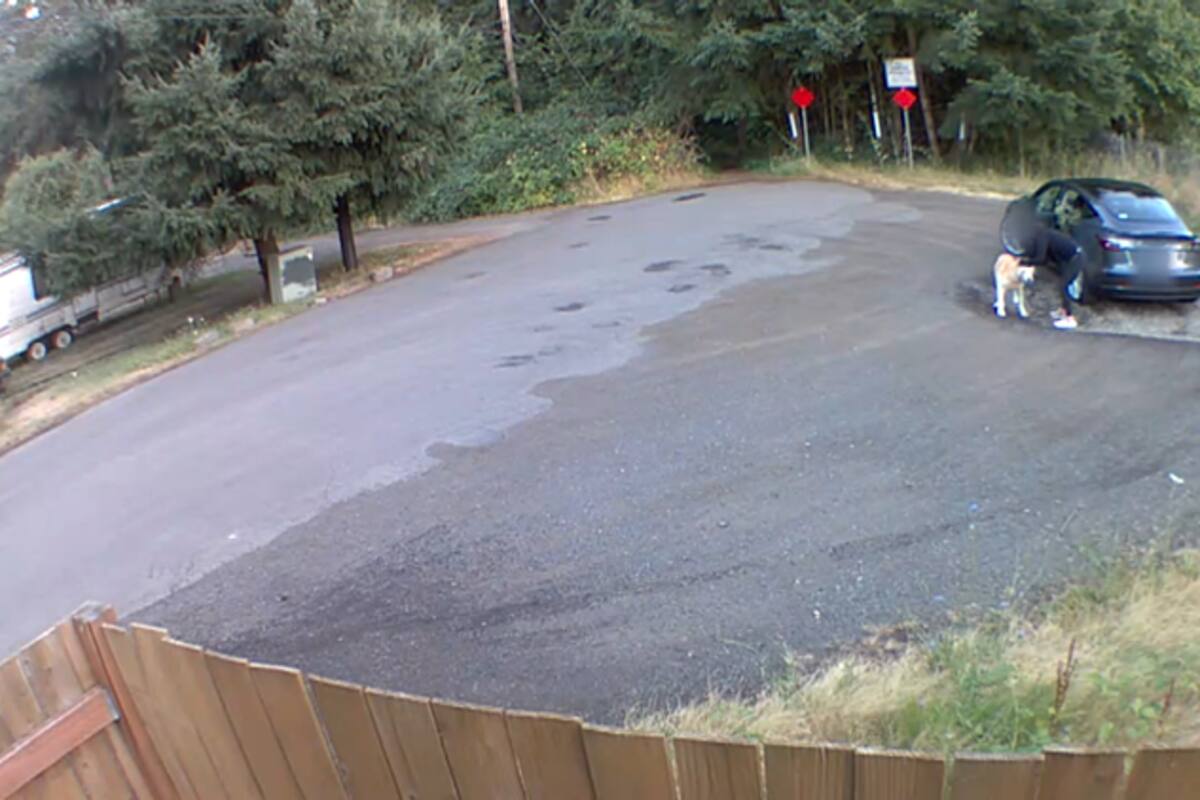 VIDEO: Abandona cruelmente a su perro en un parque
