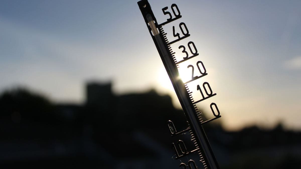 La Tierra registró su agosto más caluroso de la historia y la temperatura de los océanos alcanzó un récord de 21.11 grados centígrados según la Organización Meteorológica Mundial