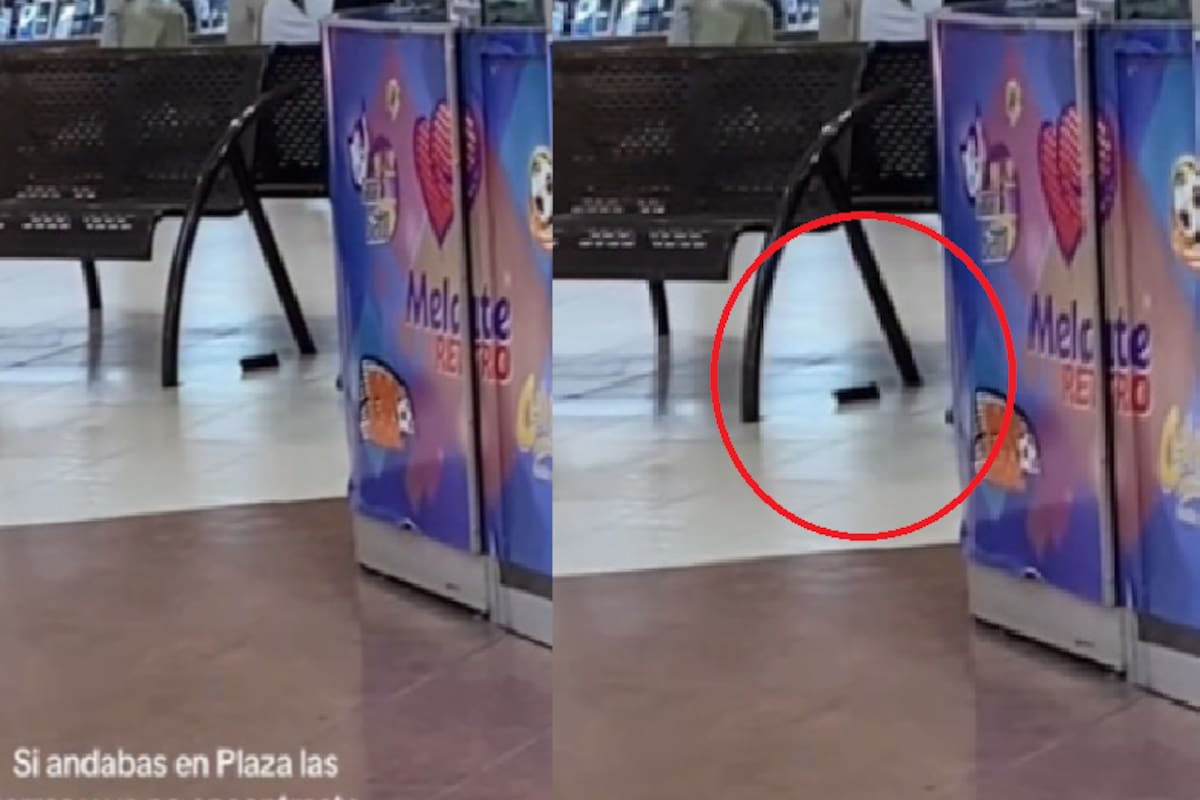 VIDEO: Mujer encuentra cargador de pistola bajo una banca en plena plaza