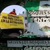 Greenpeace exigió a Semarnat frenar megaproyectos turísticos e inmobiliarios en la Península de Yucatán y establecer moratoria a cambios de uso de suelo, según comunicado oficial de la organización