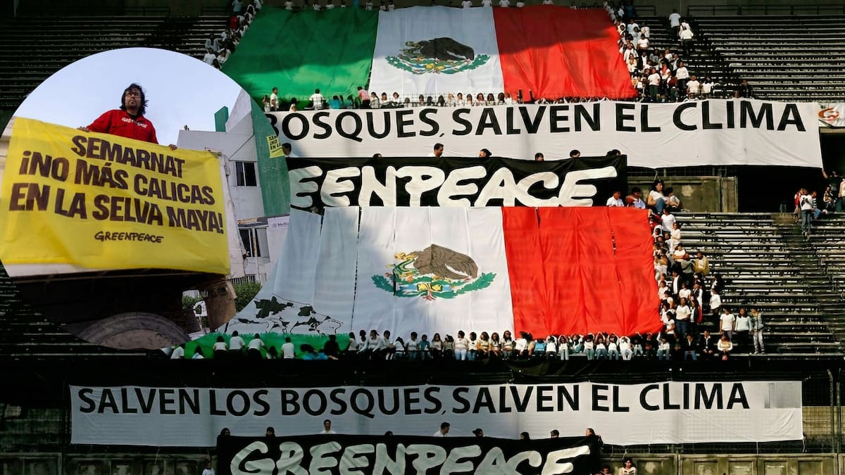 Greenpeace exigió a Semarnat frenar megaproyectos turísticos e inmobiliarios en la Península de Yucatán y establecer moratoria a cambios de uso de suelo, según comunicado oficial de la organización