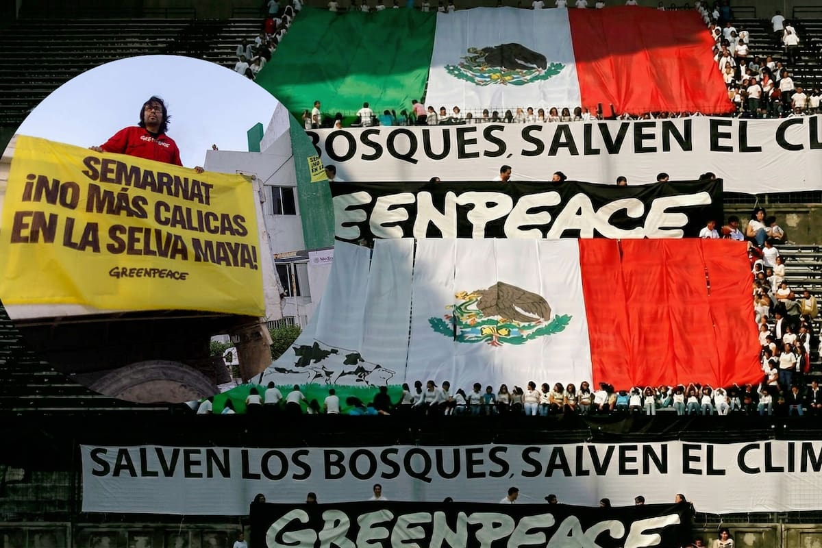 Greenpeace exigió a Semarnat frenar megaproyectos turísticos e inmobiliarios en la Península de Yucatán y establecer moratoria a cambios de uso de suelo, según comunicado oficial de la organización