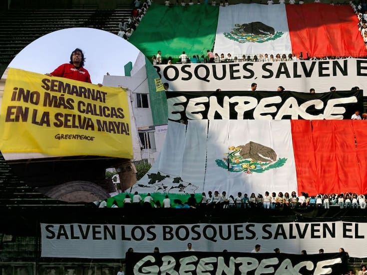 Greenpeace exigió a Semarnat frenar megaproyectos turísticos e inmobiliarios en la Península de Yucatán y establecer moratoria a cambios de uso de suelo, según comunicado oficial de la organización
