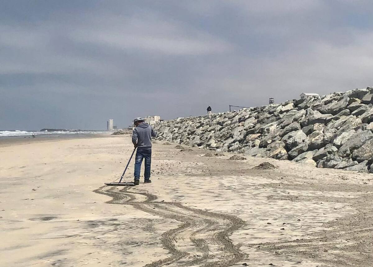 Un trabajador del fraccionamiento aledaño, Quinta Pacífico, inició con las labores de limpieza en su zona rastrillando la arena para hacer montones y después depositarlos en bolsas plásticas para tirarlas a la basura ya que las medusas, se encuentran muertas.