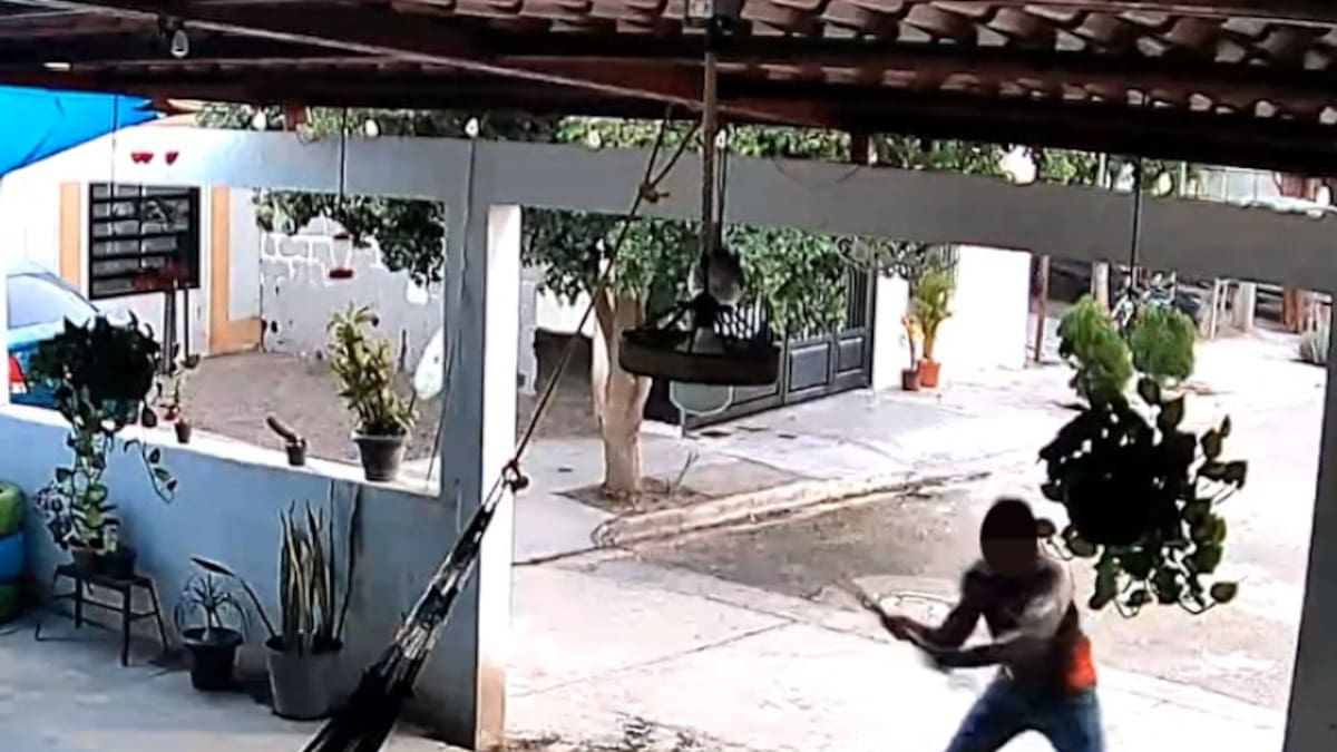 Perro “Toto” resulta con fracturas en patas traseras tras ser golpeado por padre de familia en Navojoa
