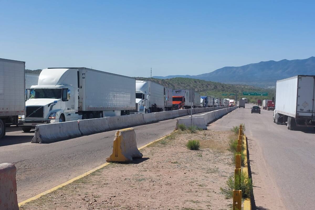 “Es un enorme problema”: Index Nogales ante la falla del sistema en el Recinto Fiscal