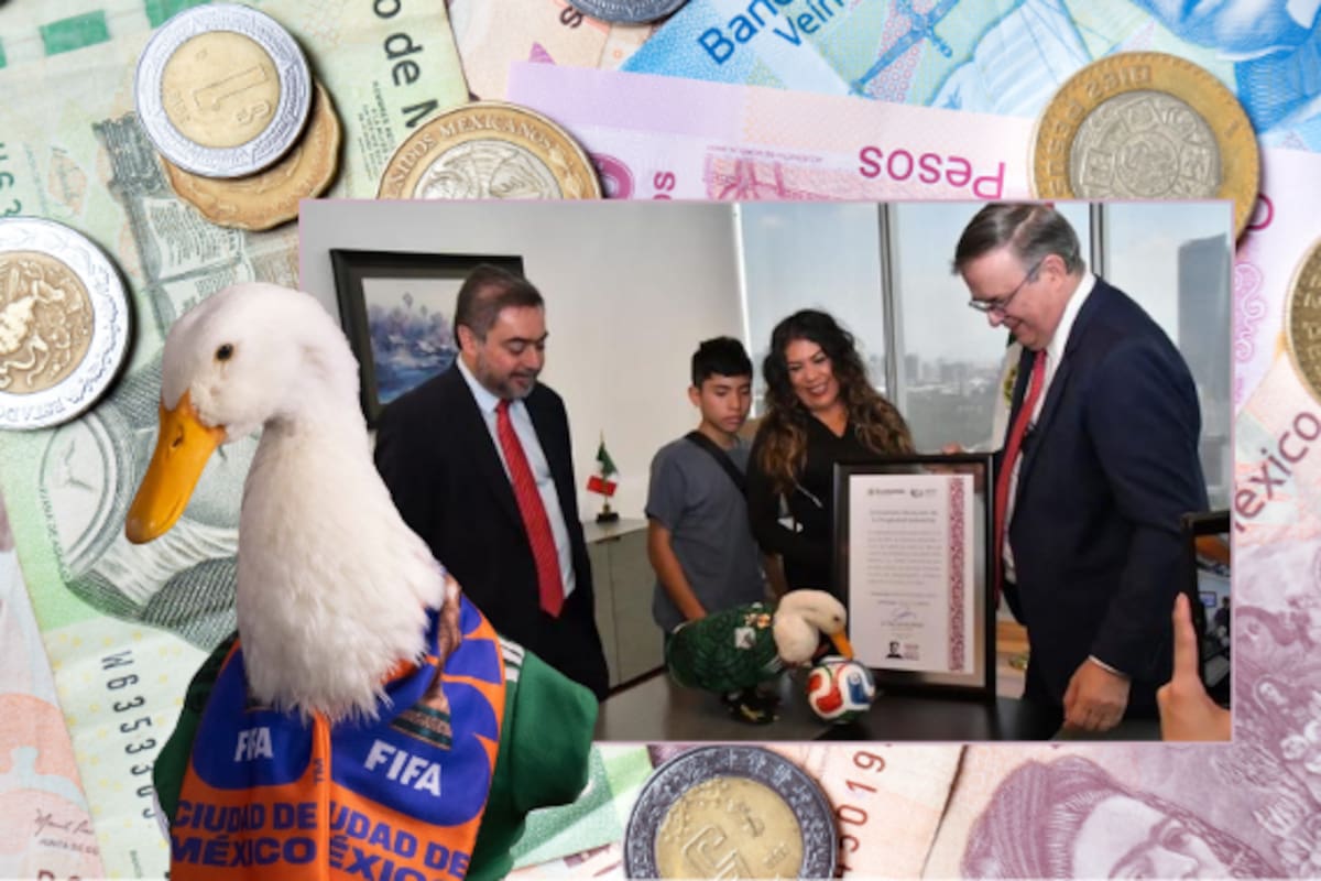 ¿Cuánto vale el Pato Merlín? La mascota que ya es una marca registrada