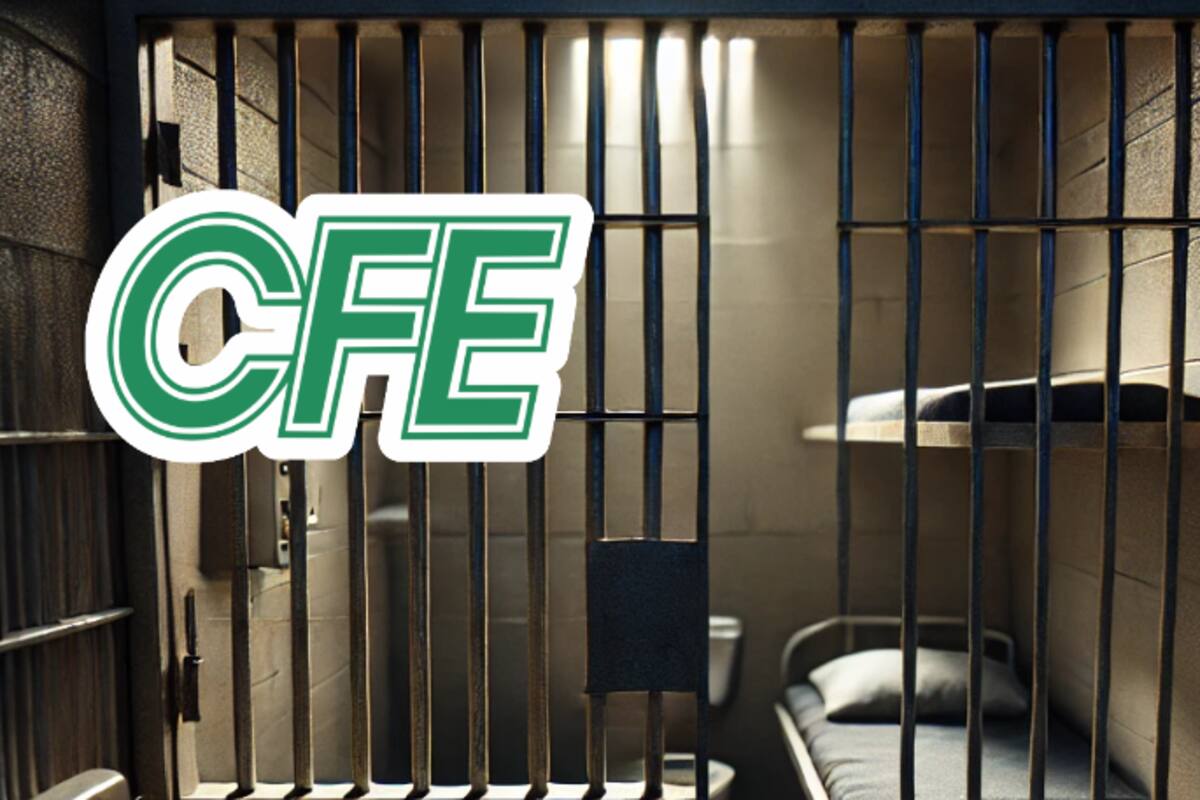 Por esta razón la CFE te puede meter a la cárcel