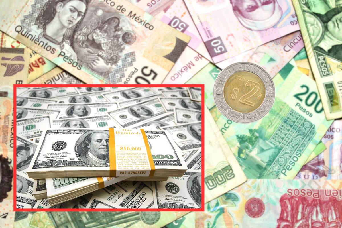 Precio del dólar cae frente al peso mexicano: ¿En cuánto se cotiza el dólar hoy 10 de marzo del 2025?