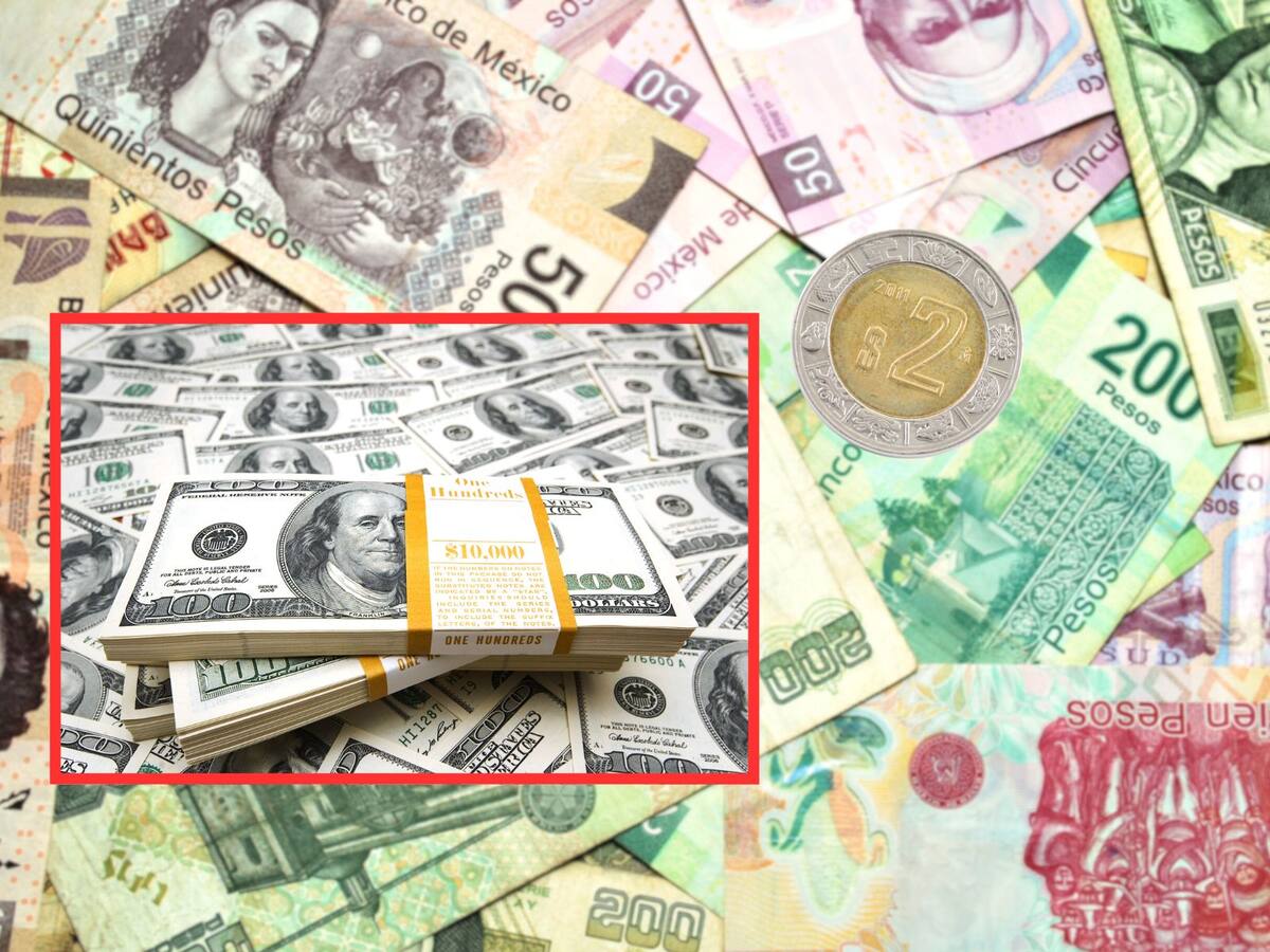 Dólar vs Peso: ¿En cuánto se cotiza el dólar hoy? | Crédito: Canva