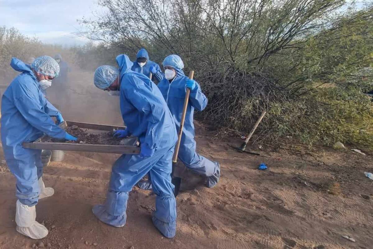 FGJES continúa con procesamientos en “El Choyudo” para identificar restos óseos