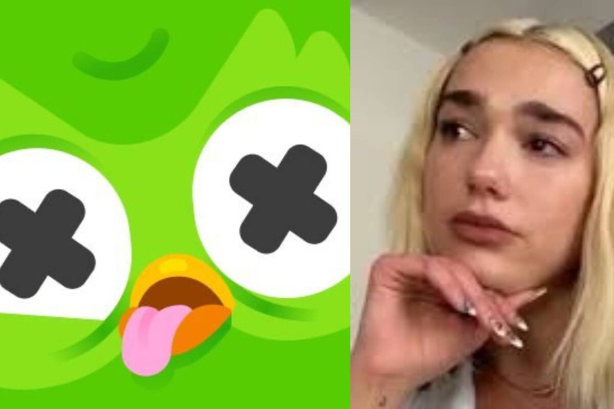Duo, "el búho de Duolingo", ha fallecido; piden respetar luto de Dua Lipa