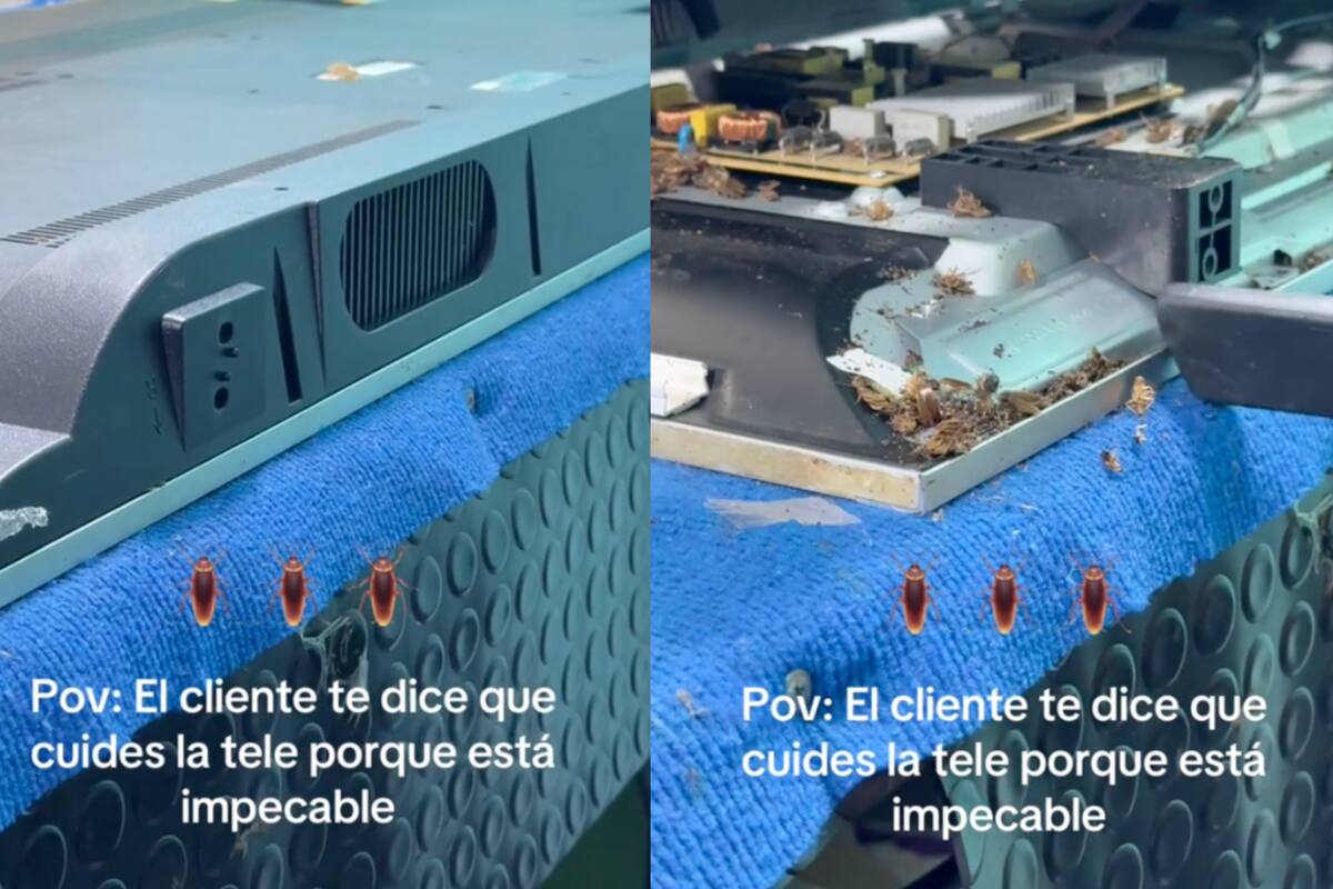 Hombre descubre una infestación de cucarachas en el interior de una televisión (VIDEO)