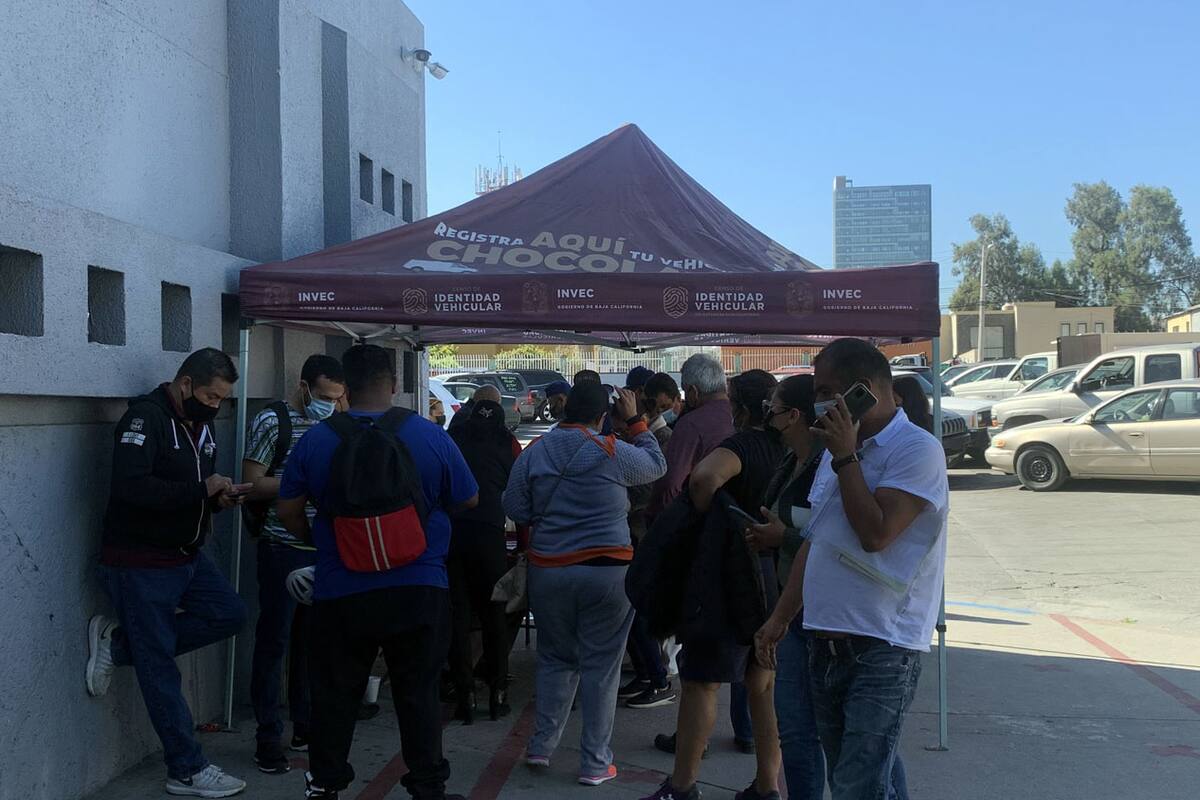 Autos 'chocolate': Habilitarán más módulos de Repuve en Rosarito y San Quintín