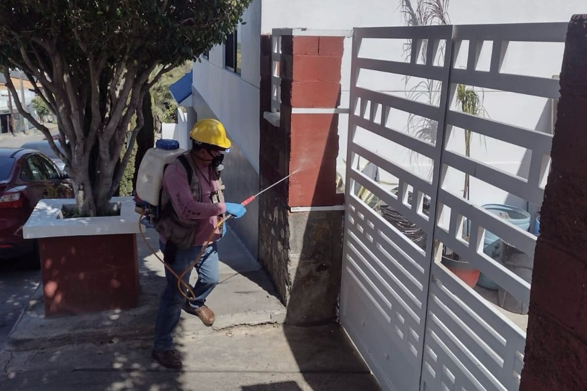 Autoridades de Salud llaman a prevenir la rickettsiosis en Tijuana, Tecate y Rosarito