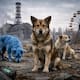 Estudio revela que los perros de Chernobyl no son mutantes: su ADN muestra adaptación genética tras décadas en la zona de exclusión y la radiación
