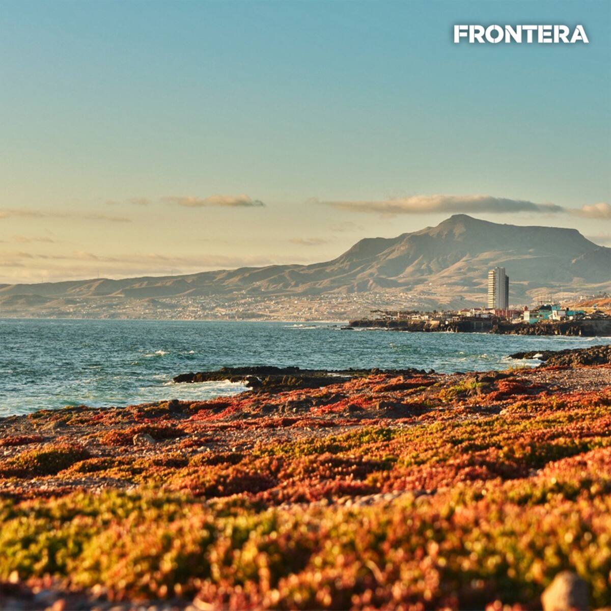 Cotuco Rosarito diseñado diversas ofertas en hoteles y restaurantes.