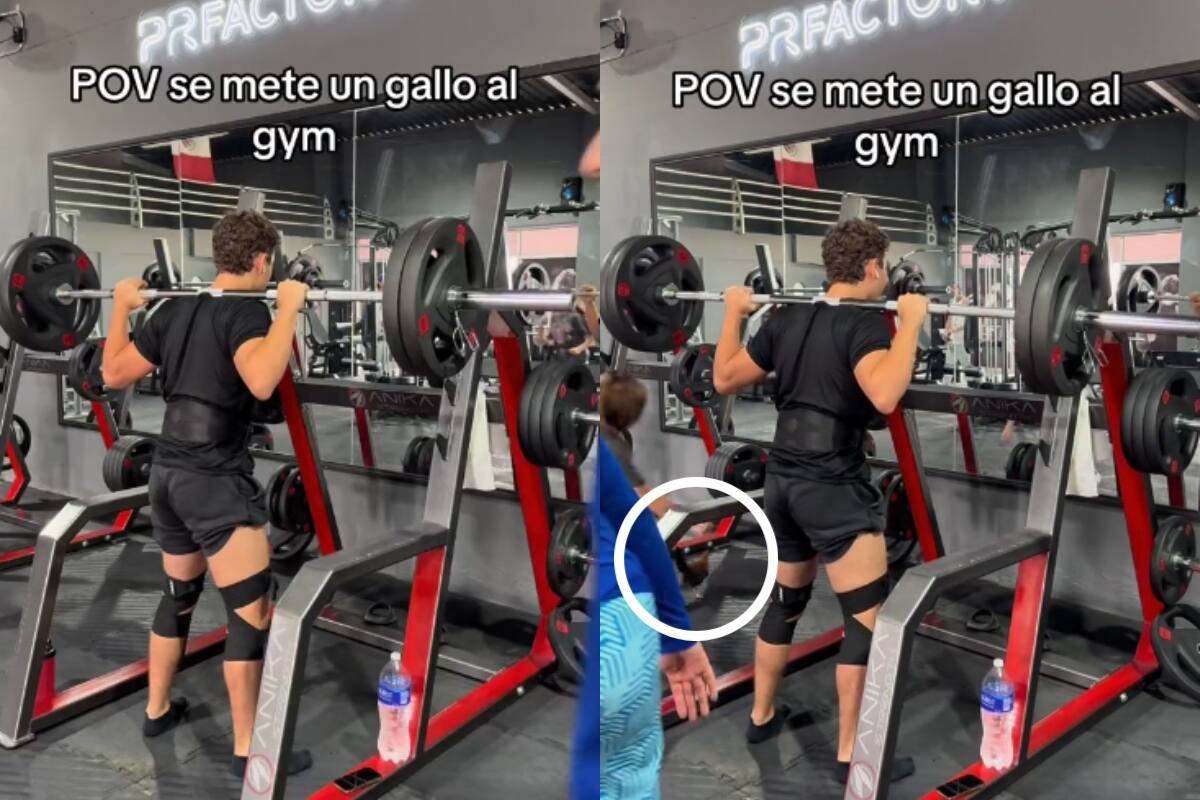 VIDEO: joven intenta grabar un video en el gimnasio pero de pronto se mete un gallo en la escena