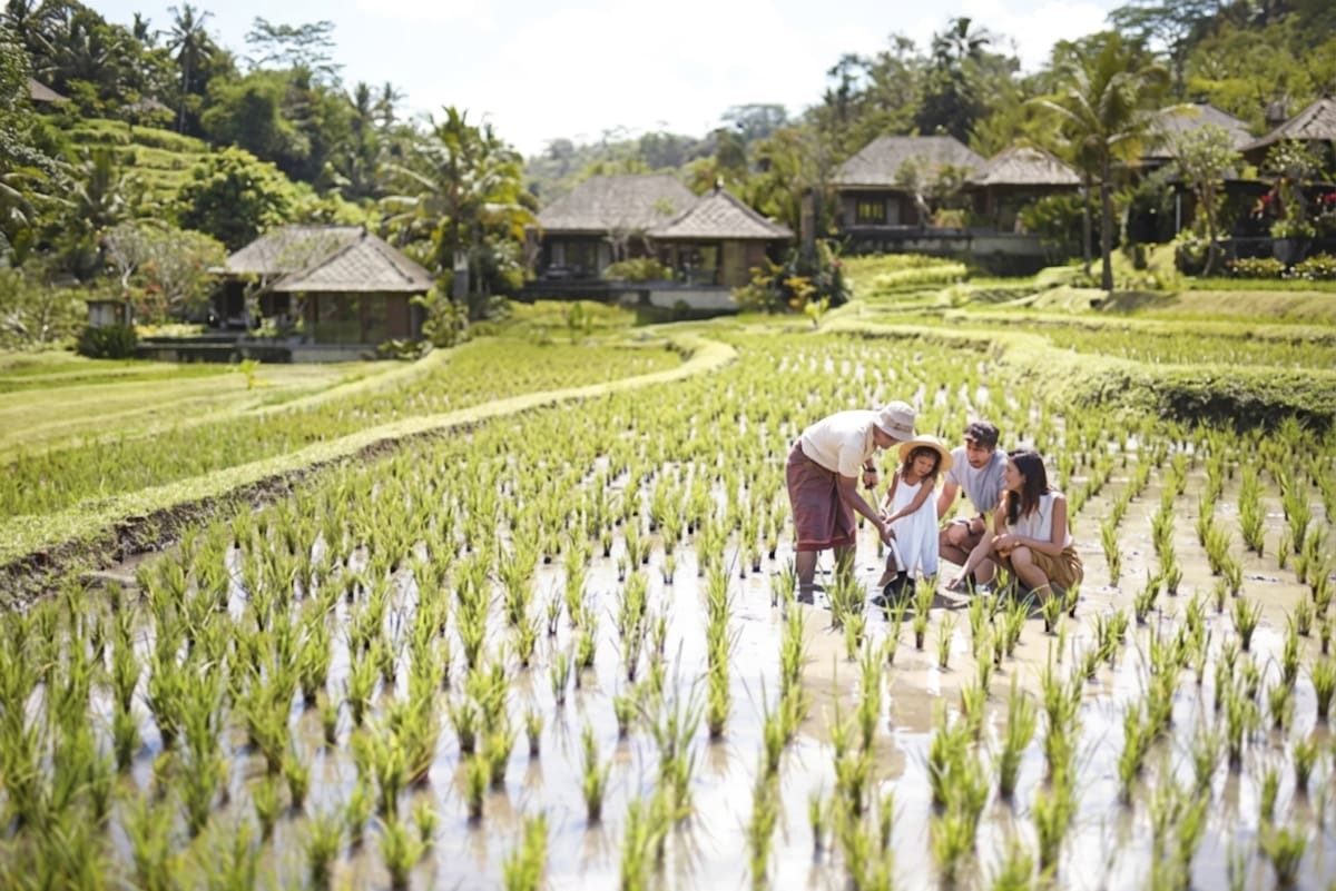Mandapa, en Bali, redefine el lujo con experiencias de bienestar, cultura y naturaleza para disfrutar en familia