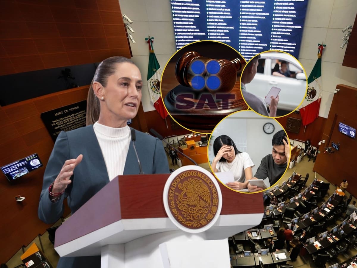 El SAT podrá iniciar procedimientos de verificación sobre la veracidad de los comprobantes.