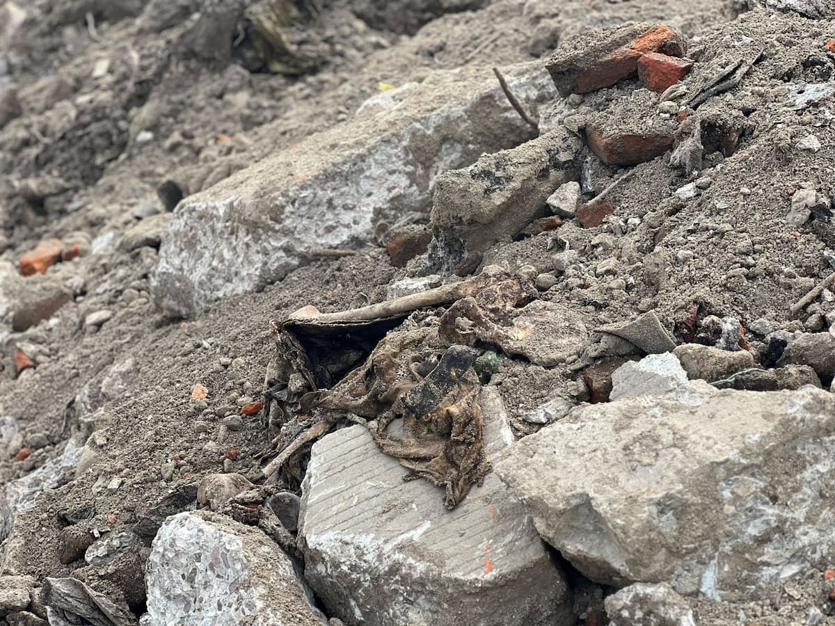 Durante labores de excavación para reparar el sistema pluvial de la Vía Rápida Alamar, trabajadores del Ayuntamiento de Tijuana localizaron un cráneo, huesos, dientes y prendas de vestir en avanzado estado de descomposición. Foto: Janeth Mayorquín