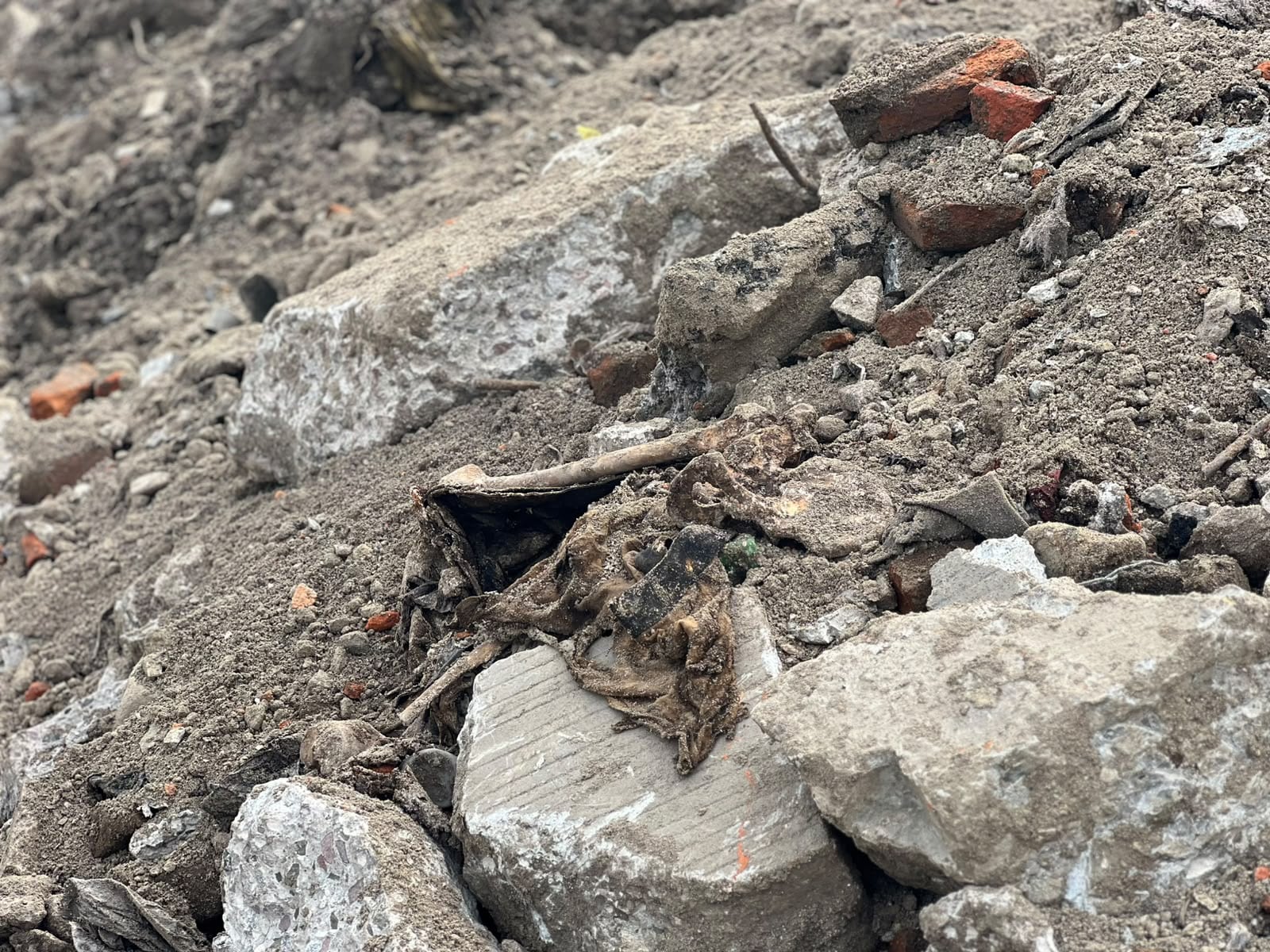 Durante labores de excavación para reparar el sistema pluvial de la Vía Rápida Alamar, trabajadores del Ayuntamiento de Tijuana localizaron un cráneo, huesos, dientes y prendas de vestir en avanzado estado de descomposición. Foto: Janeth Mayorquín