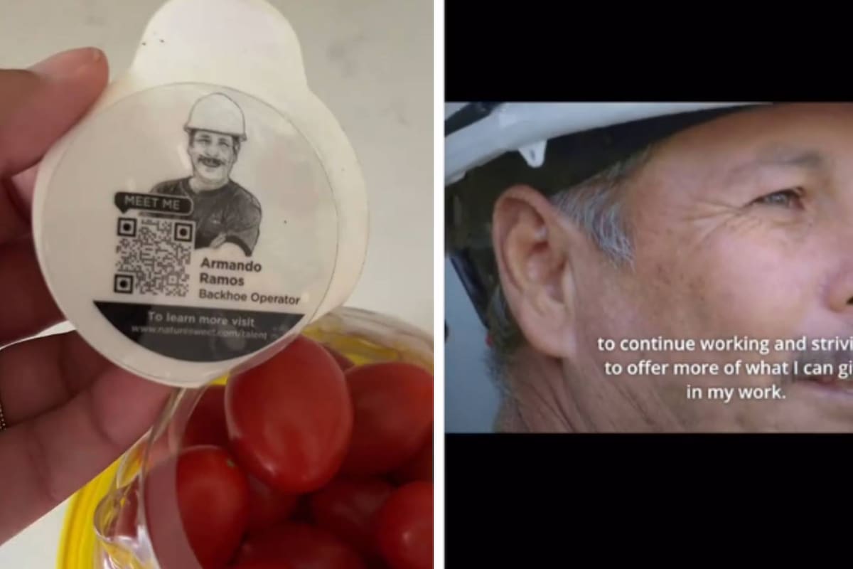 Nature Sweet resalta el valor de sus trabajadores migrantes al incorporar un código QR con su historia en sus envases de tomate (VIDEO)